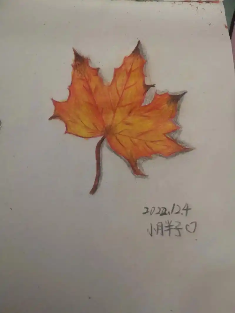 原创 #彩铅画画入门教程 #彩铅画 #彩铅绘画 #彩铅画教 - 抖音