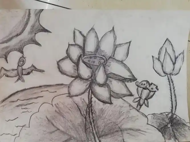 【一诺书画】龙泉东校二年级卡通素描〈荷花〉