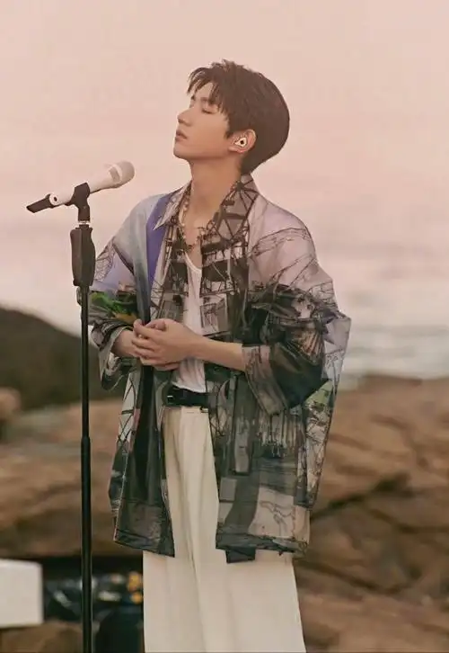 比同龄的王源早一步踏入演艺圈,在公司的选拔过程中凭借着歌声和舞蹈