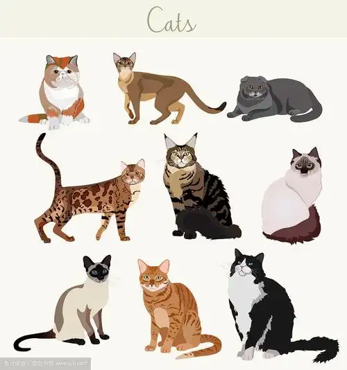 饲养不同姿势的猫卡通