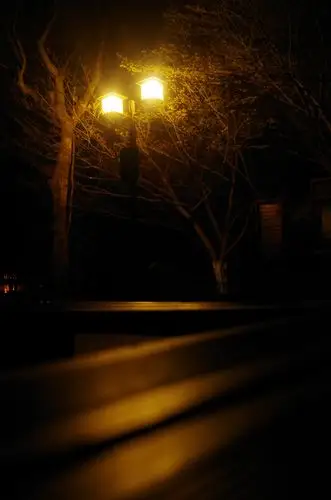 夜里的灯 这样子照明着 温柔