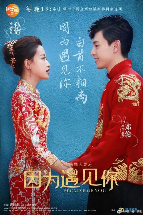 电视剧因为遇见你