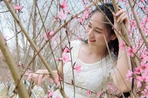 一生一世之《桃花美女》