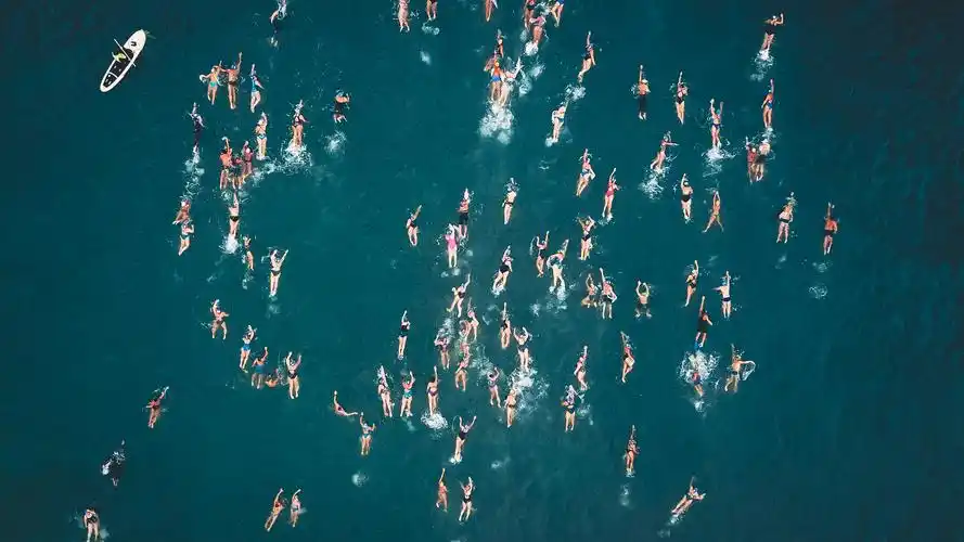 人们在海上游泳aerial view of people swimming on sea