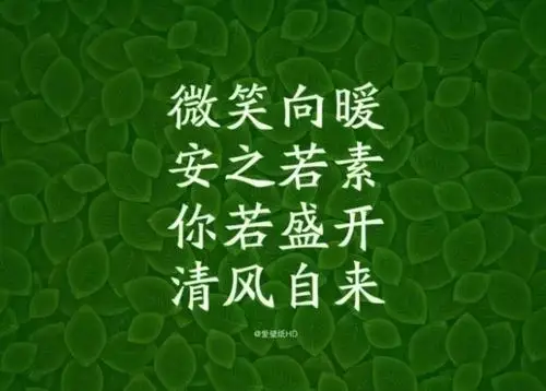 生活明朗,万物可爱