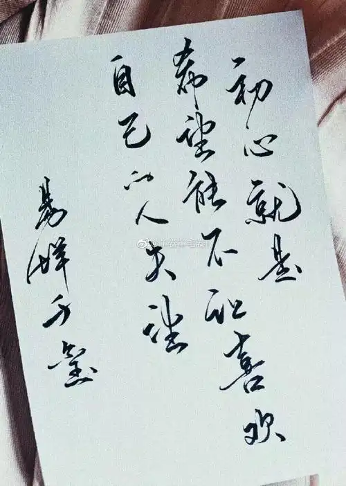 你见过书写最好看的字体