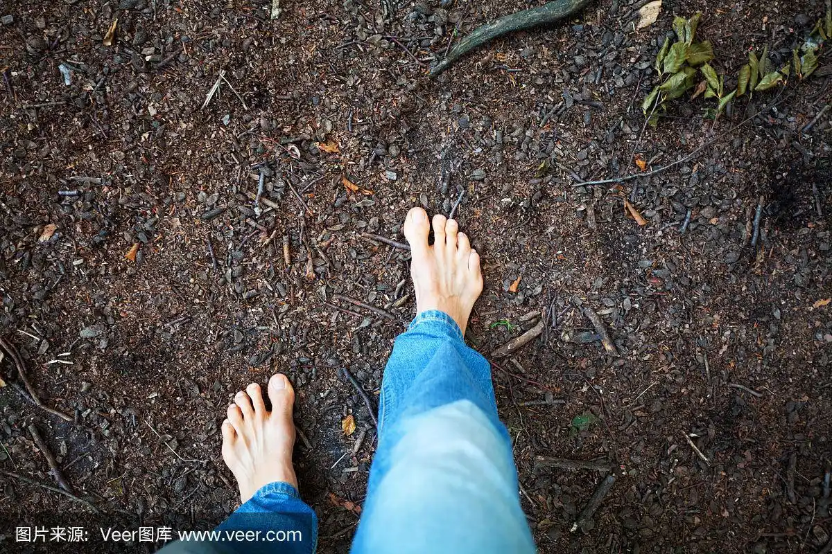 男人的脚赤脚在树林里