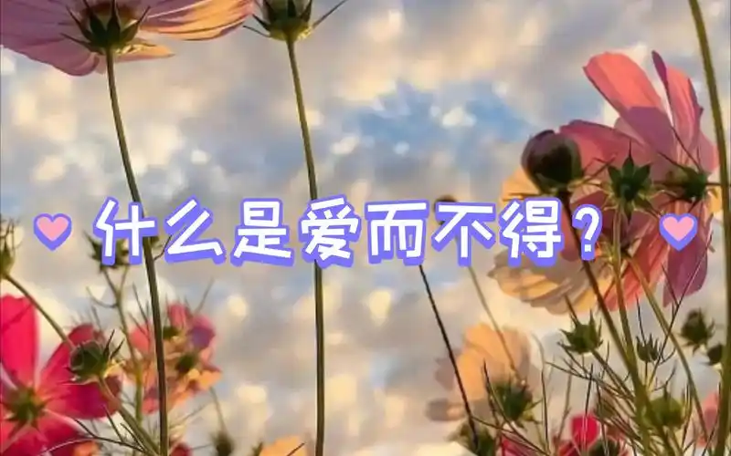 活动作品什么是爱而不得