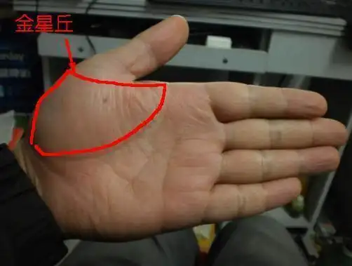 第一,金星丘发达,大概率生男孩金星丘在拇指的底下.