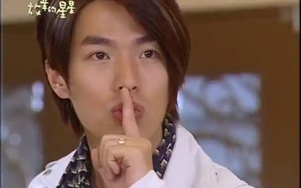 14.13《放羊的星星》林志颖