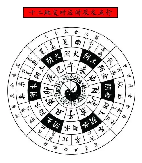 十二生肖为何有龙却没有凤,聊聊地支与生肖的那些传说