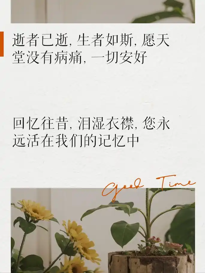 唯美纪念逝者,缅怀长辈的深情句子 你们在这个特别的日子里,是否也