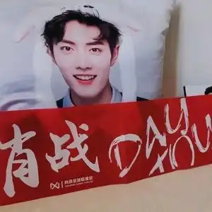 肖战后援会祖传红色应援手幅包邮