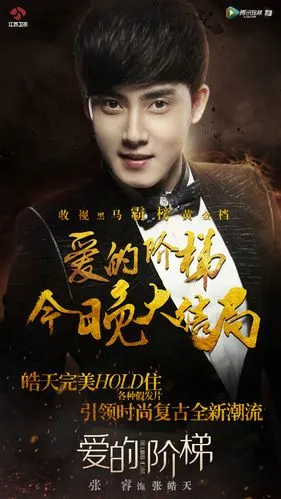 张皓天是在电视剧《 a target="_blank" href="/item/爱的阶梯