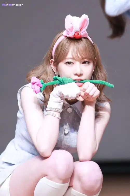 cherrybullet 金紫萝 bora