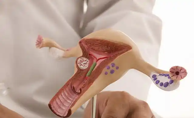 怀孕|剖宫产|子宫|乳腺_网易订阅