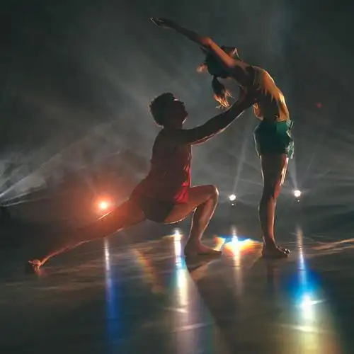 进口亮面舞台地板专业镜面舞台专用地垫剧院演出活动舞蹈舞台地胶图片