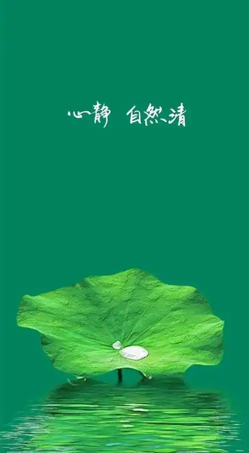 "静"是一种不容置疑的"顺其自然,一切随缘"的状态;是"远离外界烦恼