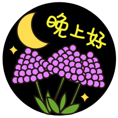 晚上好的句子 晚上好的表情