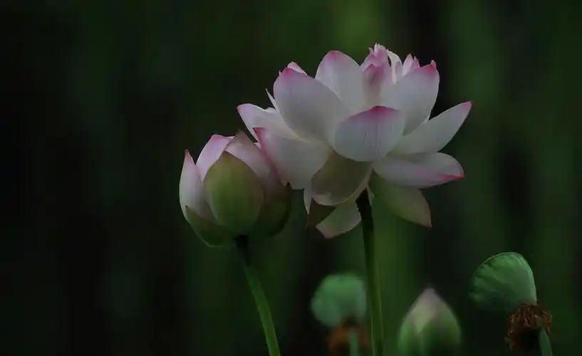 愿:平安,吉祥,快乐,健康永远伴你. 一路发发发.