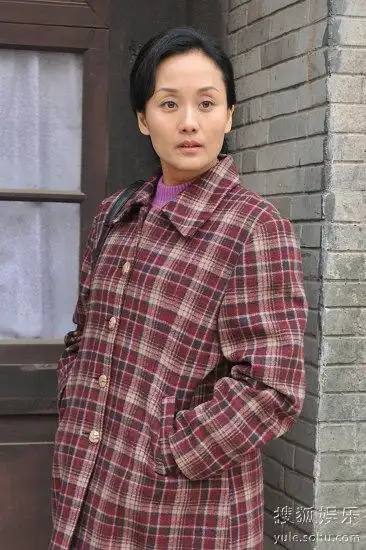 年度情感剧《大家庭》热播 李颖演绎泼辣女人