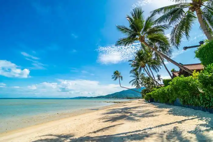 美丽的热带海滩海和沙子与椰子棕榈树在蓝天白云为旅行和假期