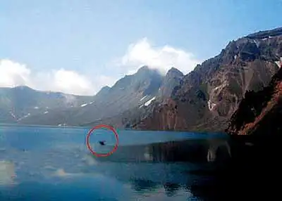 长白山"天池怪兽"新版本:长约七八米有类似翅膀状的"鳍"