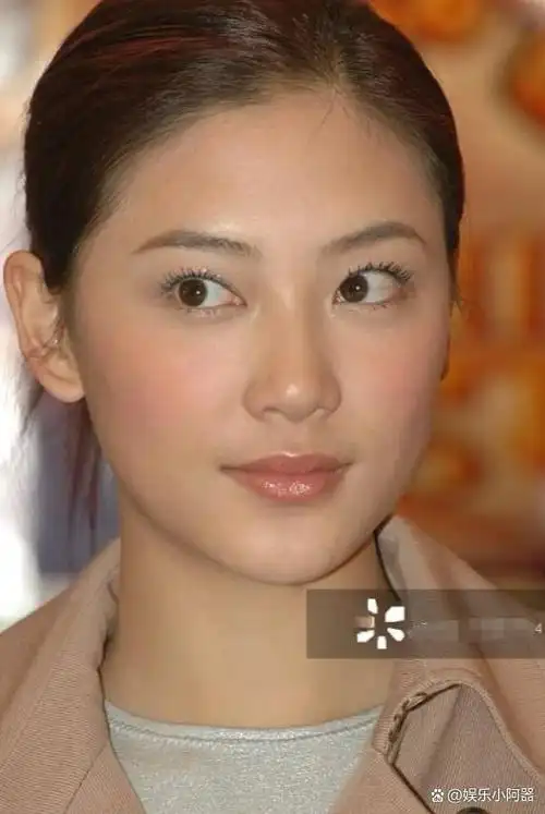 应采儿为何不嫁豪门向佐而是选择了家世一般的陈小春