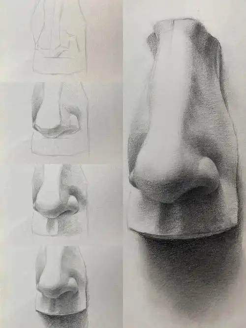 绘画教程  #一起学画画  #素描  #零基础素描  #素描头像  #石膏像