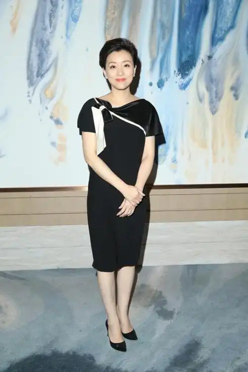 杨澜穿衣挺有品质的刺绣裙显得气韵高贵美得成熟又知性