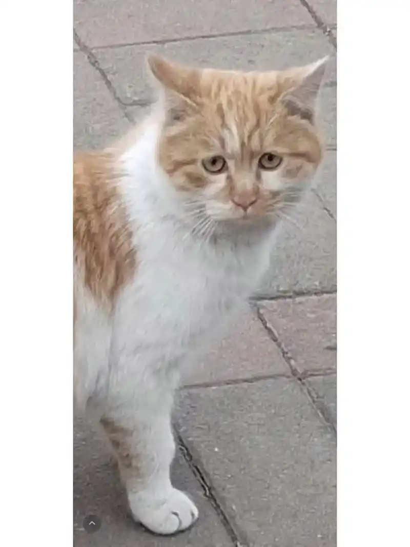 看面相第一感觉?毫不留情的那种![挤眼]#看面相