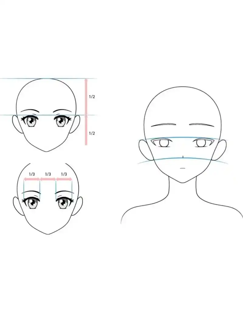 画法及比例关系 广州番禺南阁艺术中心整理 动漫人物的五官位置参考