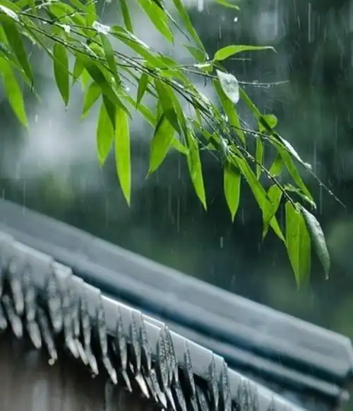 禅是一缕清风.早安