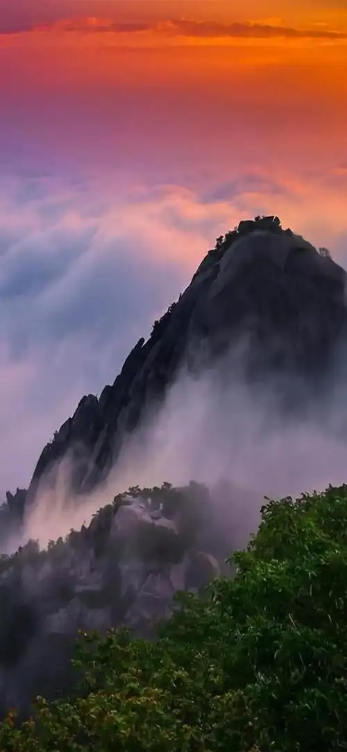 壁纸分享别让忧虑遮挡住阳光让快乐成为你生活的底色