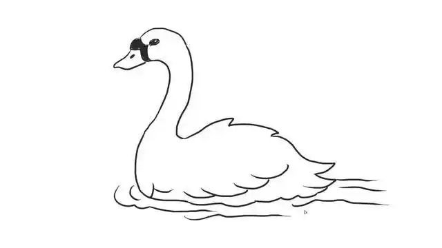 游泳的白天鹅幼儿亲子儿童简笔画 幼儿园学画画