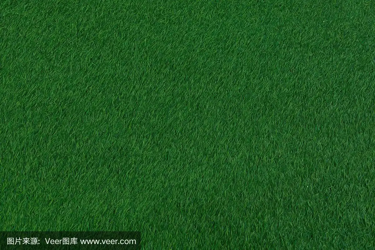 深绿色的草地毯.