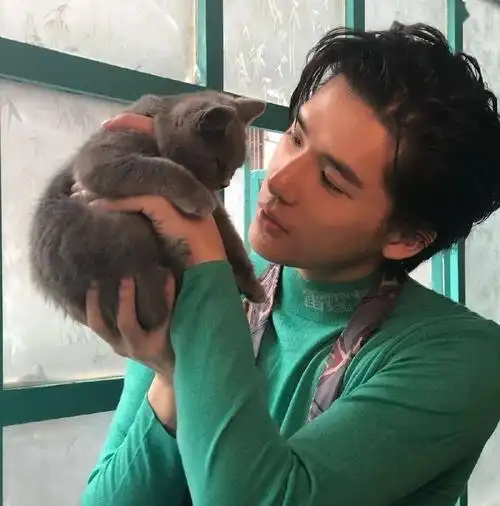 微信头像王安宇