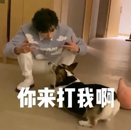 来发点刘宇的沙雕表情包吧降低焦虑浓度