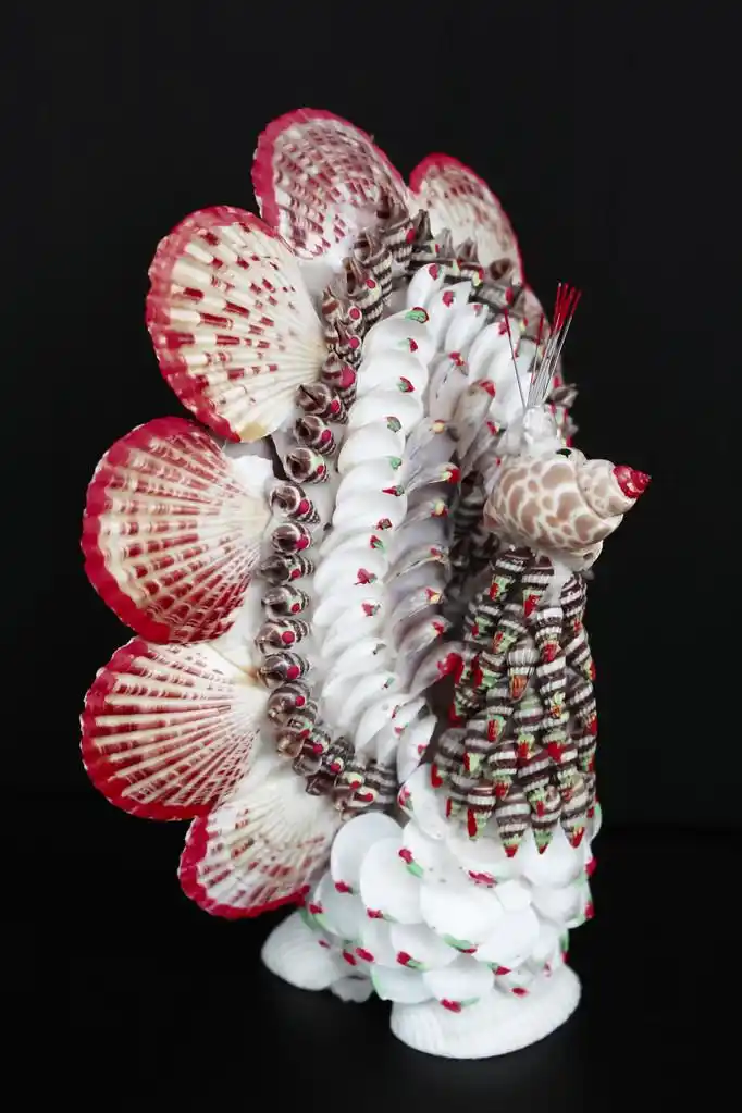 五颜六色的贝壳组成的孔雀