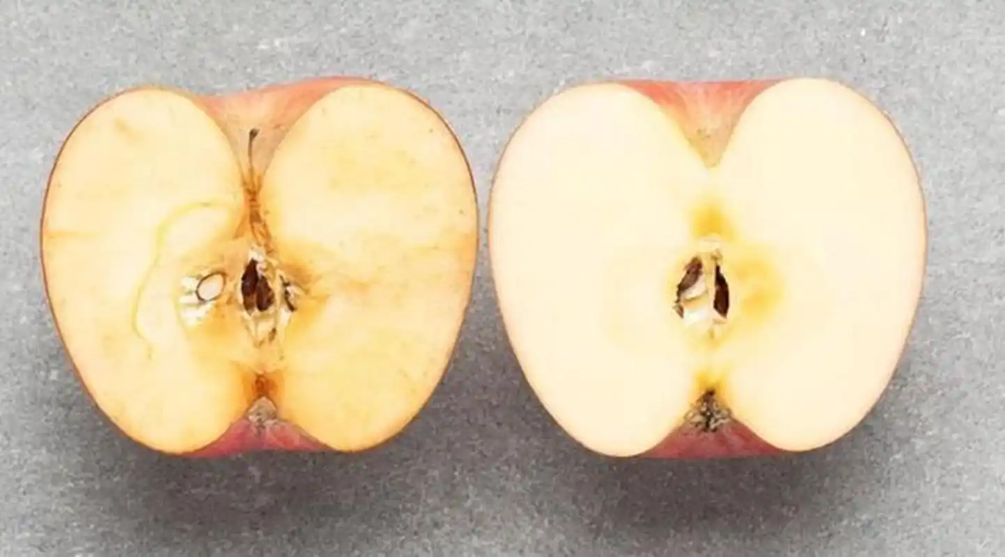 苹果切开会变色,你知道为什么吗?