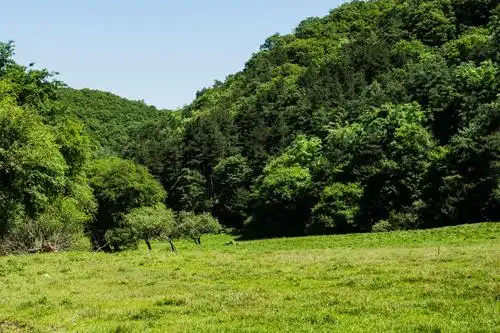 凤县宽滩草甸——原生态景色引人入胜