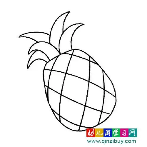 新鲜的菠萝(水果简笔画)