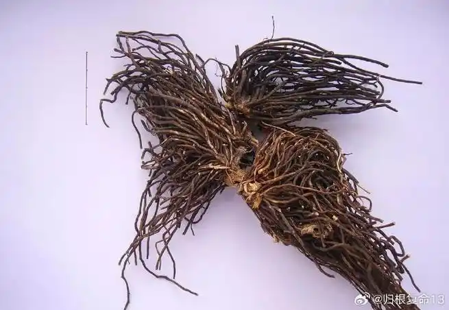 论道岐黄##国医的精诚力量##健康养生##中医养生