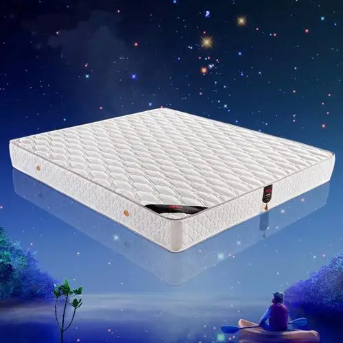 床垫席梦思家用山棕垫软硬两用天然环保椰棕弹簧可拆洗酒店宾馆