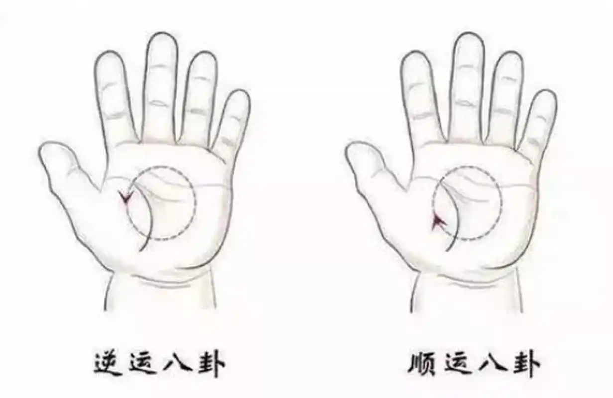 小儿推拿常用穴位之运内八卦72 【内八卦】 八卦的手法一般都是运