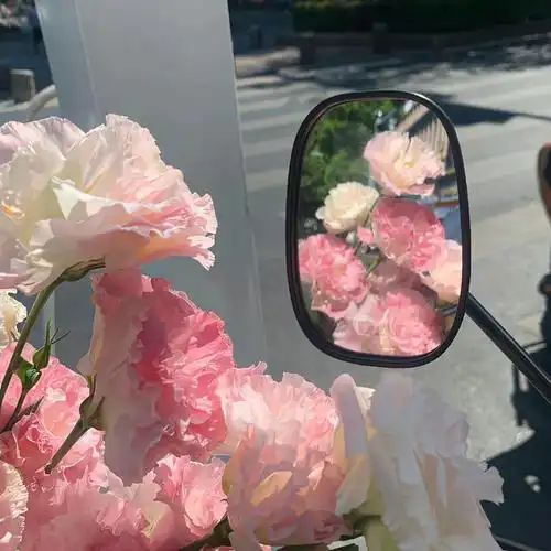 ins氛围感鲜花背景图