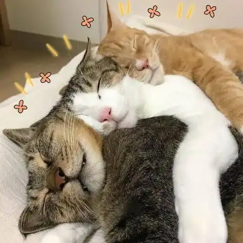 冬天情侣同床到底有多暖和?