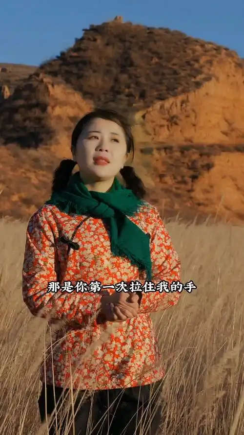 陕北民歌《脸咋这么厚》满仓