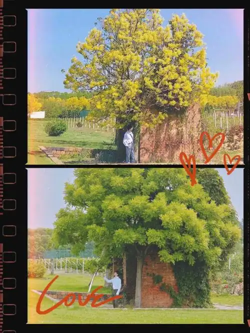 又见面啦#马嘉祺2020—202299 马嘉祺你真的好会99 嘉祺你看