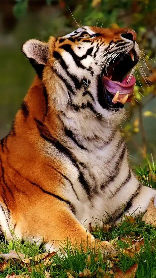 640_1136竖版 竖屏